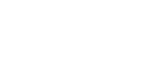 Brightree Logo White